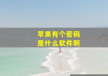 苹果有个密码是什么软件啊