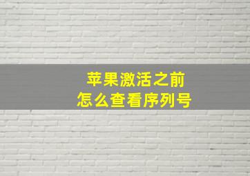 苹果激活之前怎么查看序列号