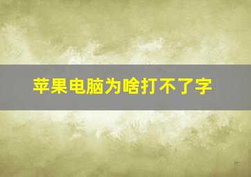 苹果电脑为啥打不了字