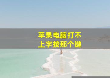 苹果电脑打不上字按那个键