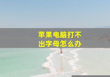 苹果电脑打不出字母怎么办