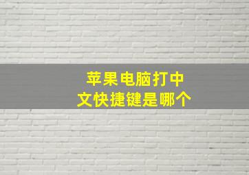 苹果电脑打中文快捷键是哪个