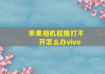 苹果相机权限打不开怎么办vivo