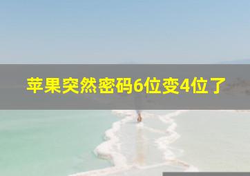 苹果突然密码6位变4位了