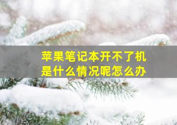 苹果笔记本开不了机是什么情况呢怎么办