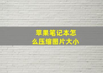 苹果笔记本怎么压缩图片大小