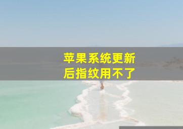 苹果系统更新后指纹用不了