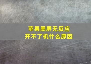 苹果黑屏无反应开不了机什么原因