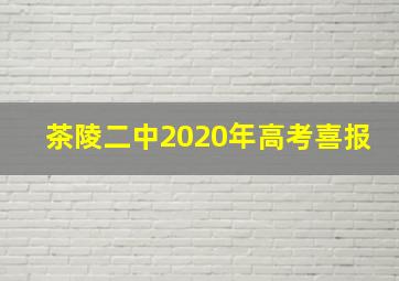 茶陵二中2020年高考喜报