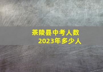 茶陵县中考人数2023年多少人