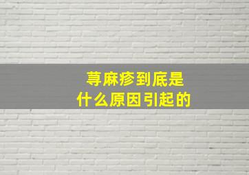 荨麻疹到底是什么原因引起的