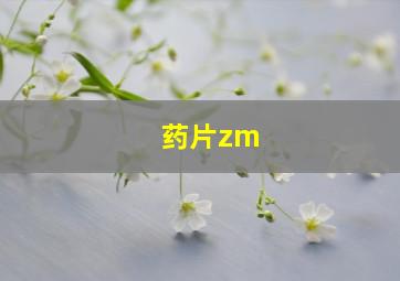 药片zm