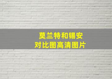 莫兰特和锡安对比图高清图片