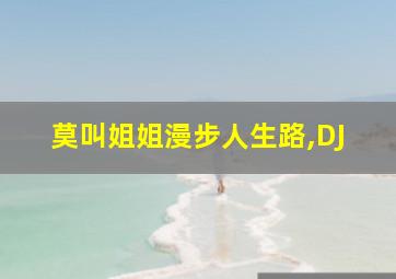 莫叫姐姐漫步人生路,DJ