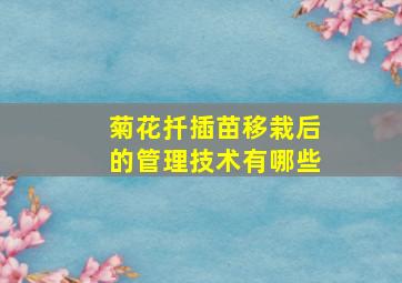 菊花扦插苗移栽后的管理技术有哪些