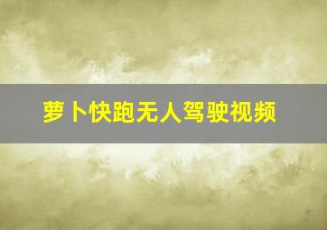 萝卜快跑无人驾驶视频