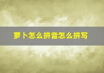 萝卜怎么拼音怎么拼写