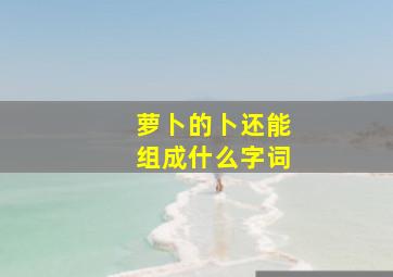 萝卜的卜还能组成什么字词