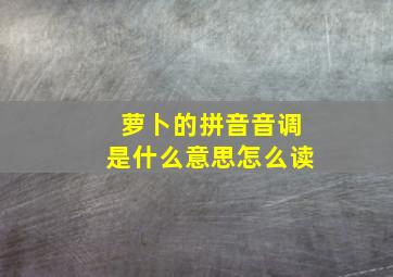 萝卜的拼音音调是什么意思怎么读