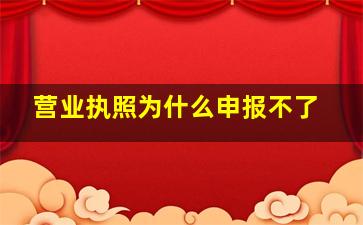 营业执照为什么申报不了