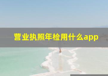 营业执照年检用什么app