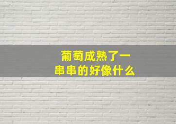 葡萄成熟了一串串的好像什么