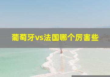 葡萄牙vs法国哪个厉害些