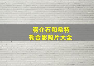 蒋介石和希特勒合影照片大全