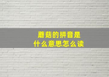 蘑菇的拼音是什么意思怎么读