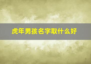 虎年男孩名字取什么好