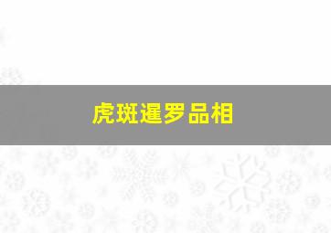 虎斑暹罗品相