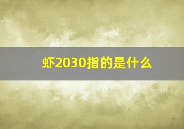 虾2030指的是什么