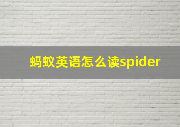 蚂蚁英语怎么读spider