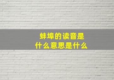 蚌埠的读音是什么意思是什么