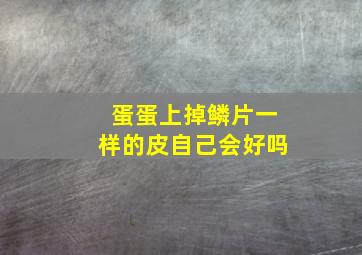 蛋蛋上掉鳞片一样的皮自己会好吗