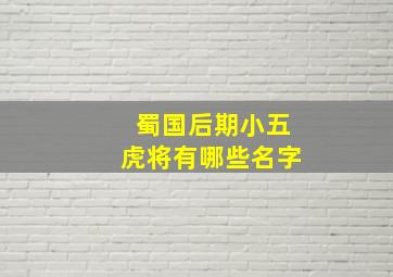 蜀国后期小五虎将有哪些名字