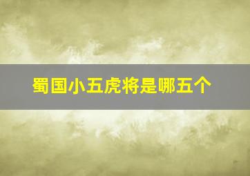 蜀国小五虎将是哪五个