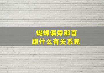 蝴蝶偏旁部首跟什么有关系呢