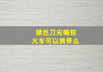 螺丝刀尖嘴钳火车可以携带么