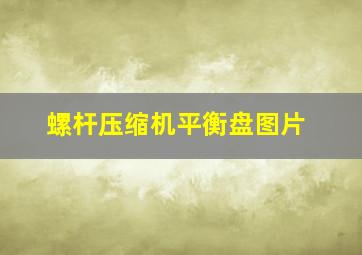 螺杆压缩机平衡盘图片