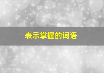 表示掌握的词语