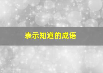 表示知道的成语