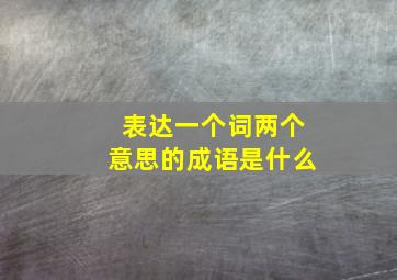 表达一个词两个意思的成语是什么