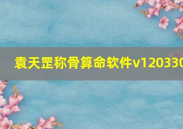 袁天罡称骨算命软件v120330