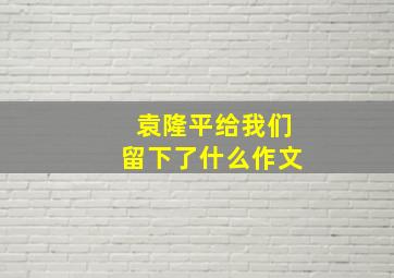 袁隆平给我们留下了什么作文