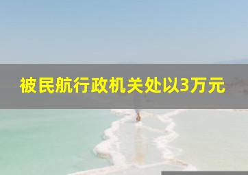 被民航行政机关处以3万元