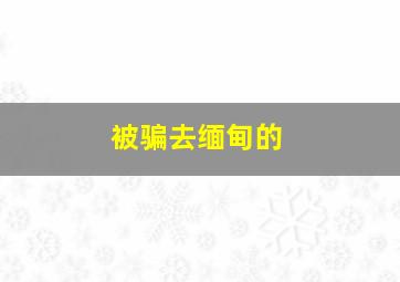 被骗去缅甸的