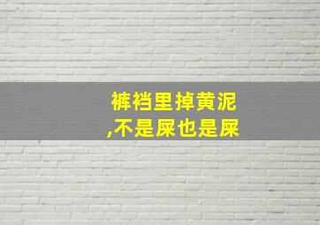 裤裆里掉黄泥,不是屎也是屎