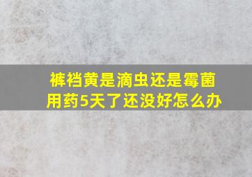 裤裆黄是滴虫还是霉菌用药5天了还没好怎么办