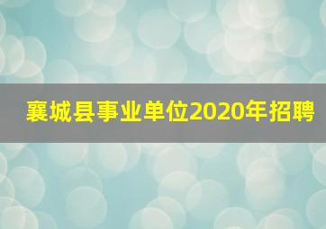 襄城县事业单位2020年招聘